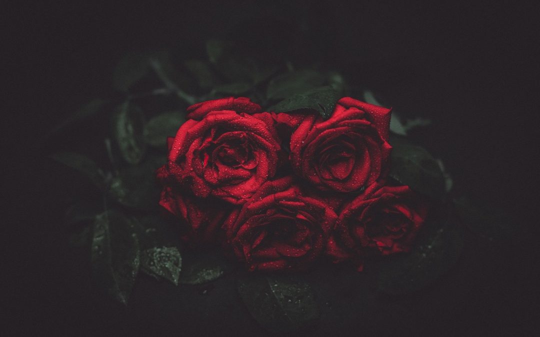 Fem tips för att få rosor att hålla länge Så fixar du lång hållbarhet för dina rosor
